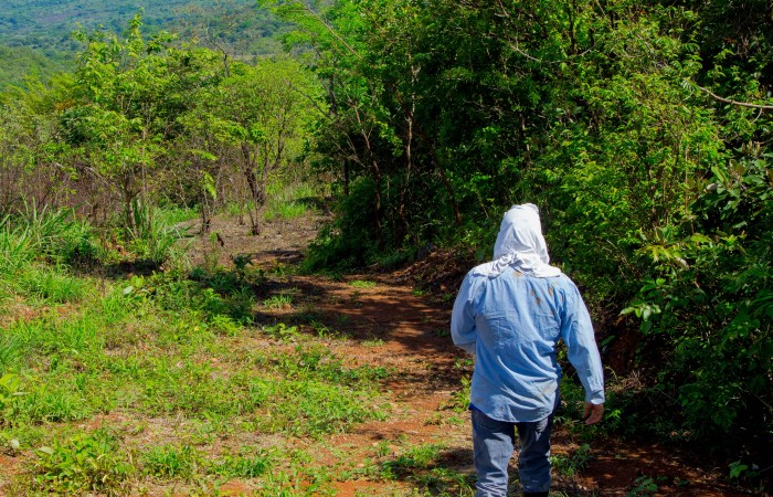 Programa de agricultura y acuicultura en Reserva Forestal Fortuna, finalista a los Global Energy Awards